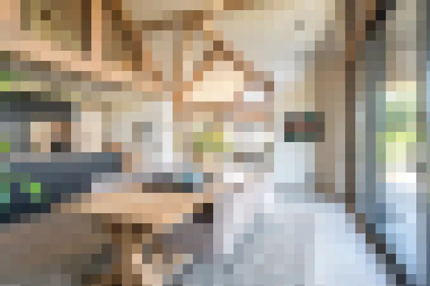Zandstraat 15 Moergestel thumbnail 12