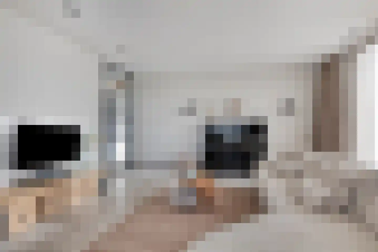 Zandstraat 15 Moergestel thumbnail 15