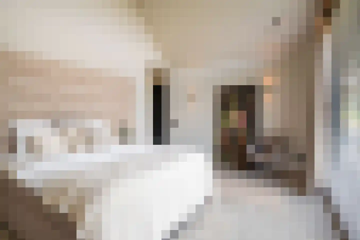 Zandstraat 15 Moergestel thumbnail 16