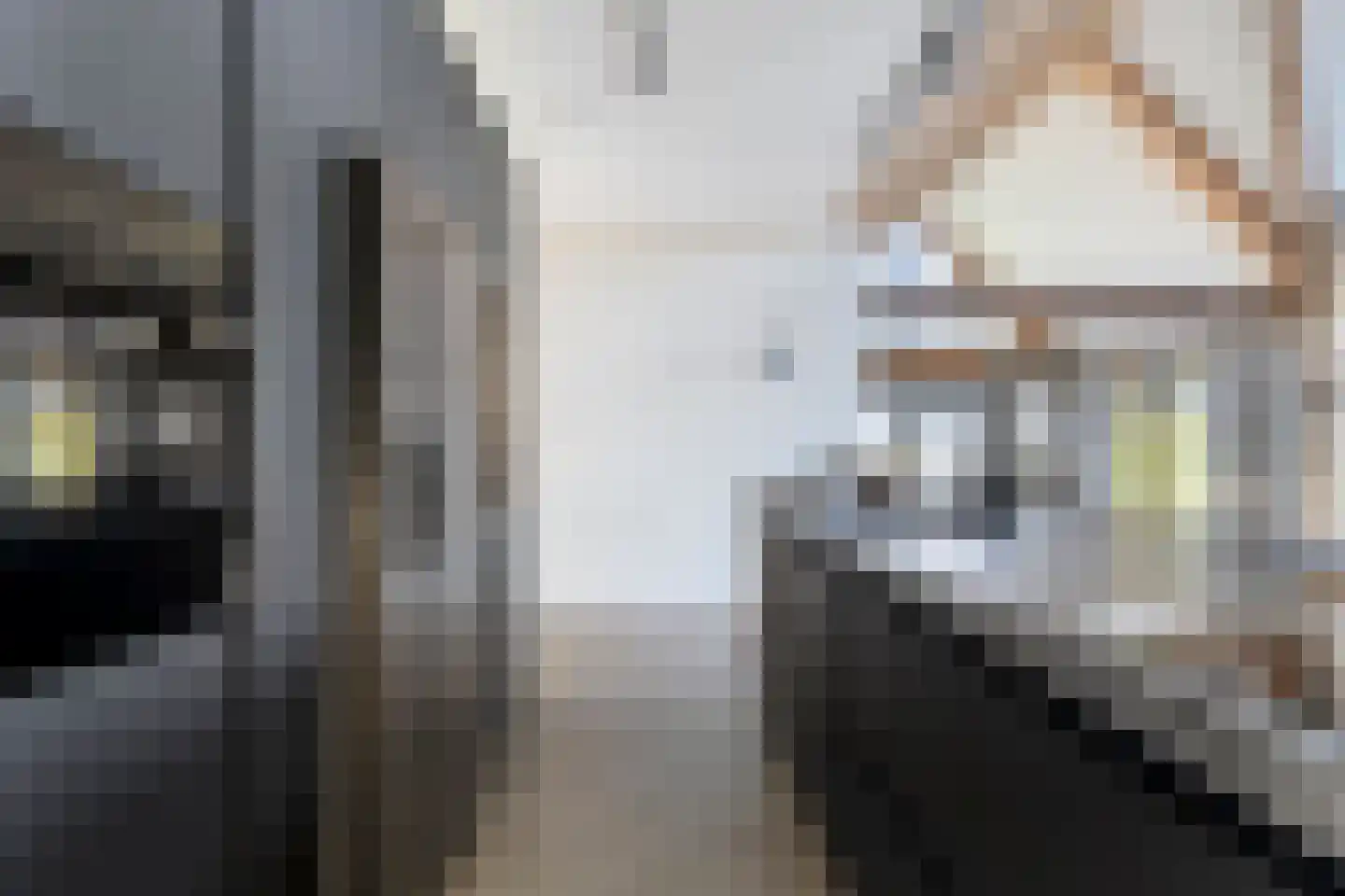 Zandstraat 15 Moergestel thumbnail 20
