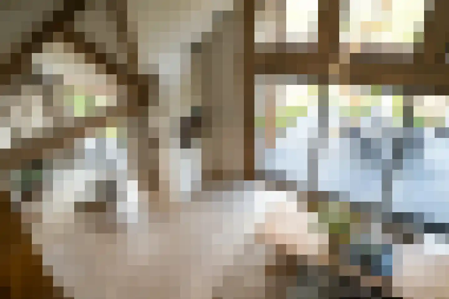Zandstraat 15 Moergestel thumbnail 20