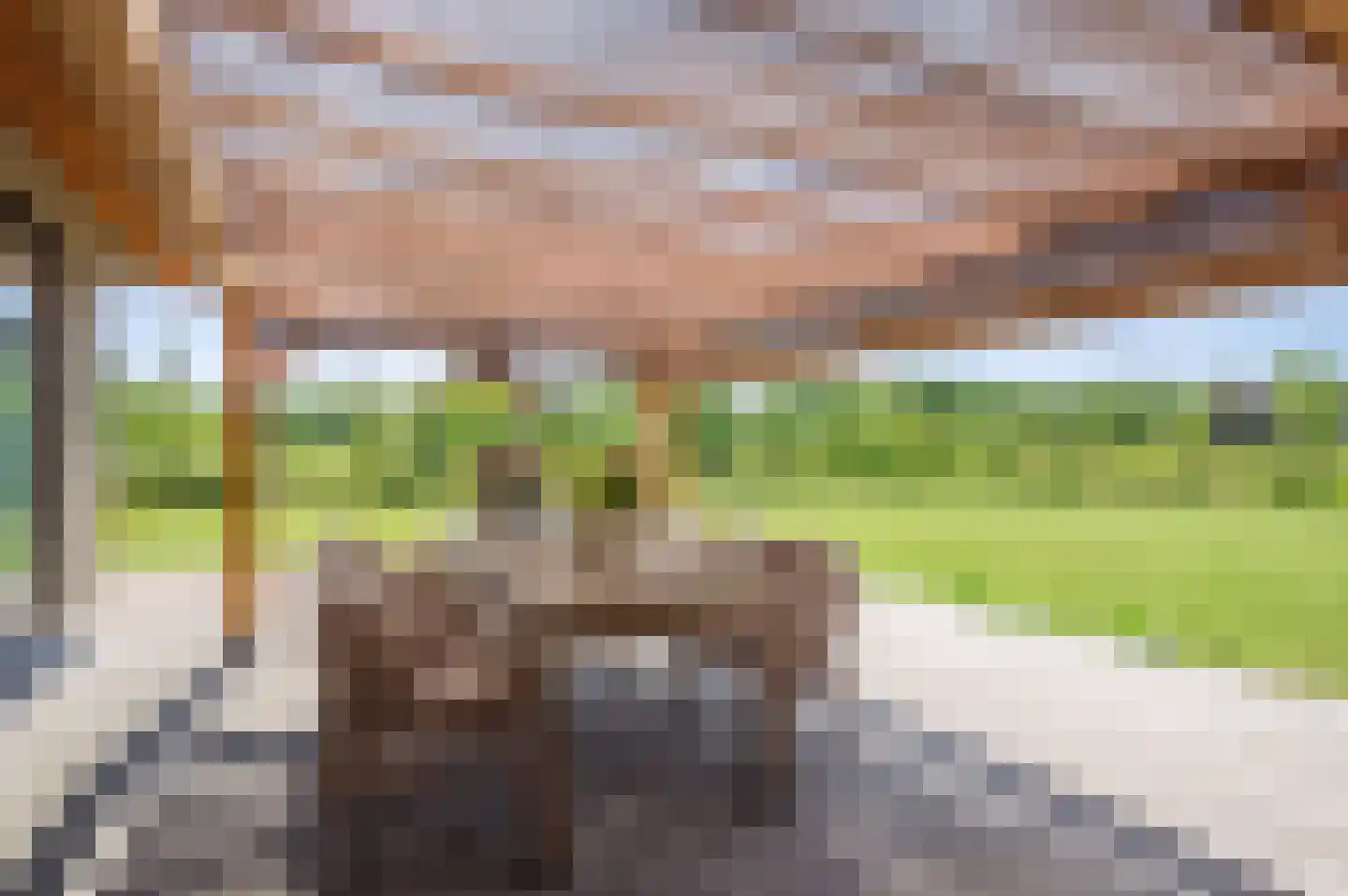 Zandstraat 15 Moergestel thumbnail 22