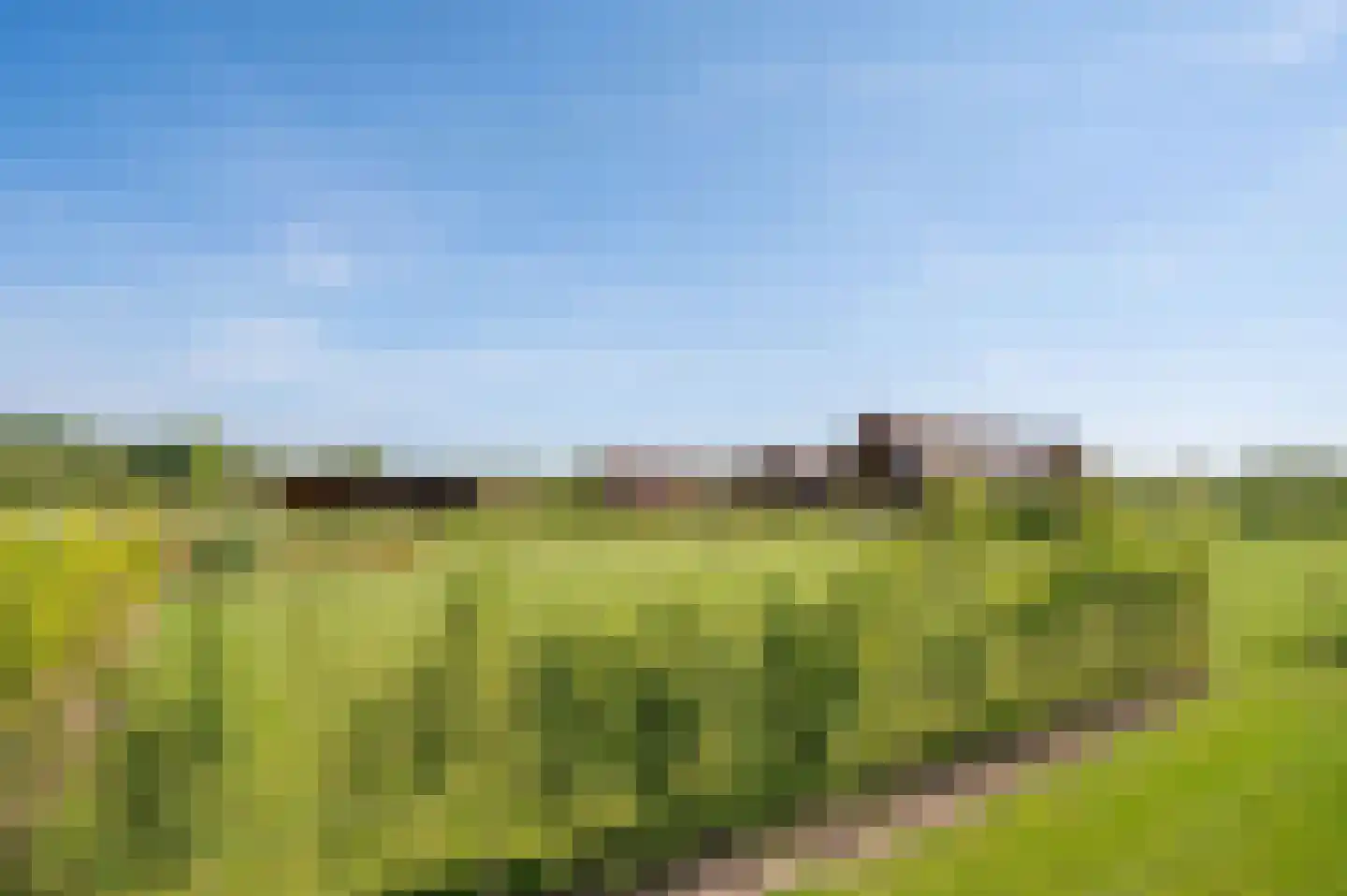 Zandstraat 15 Moergestel thumbnail 23