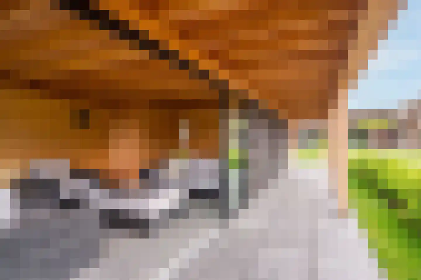 Zandstraat 15 Moergestel thumbnail 28