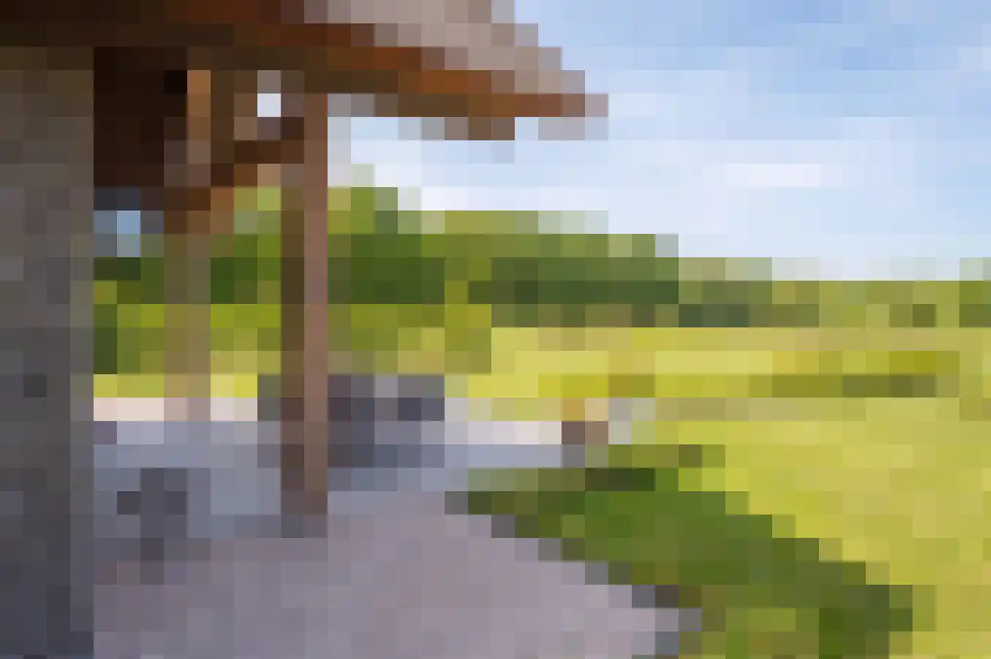 Zandstraat 15 Moergestel thumbnail 29