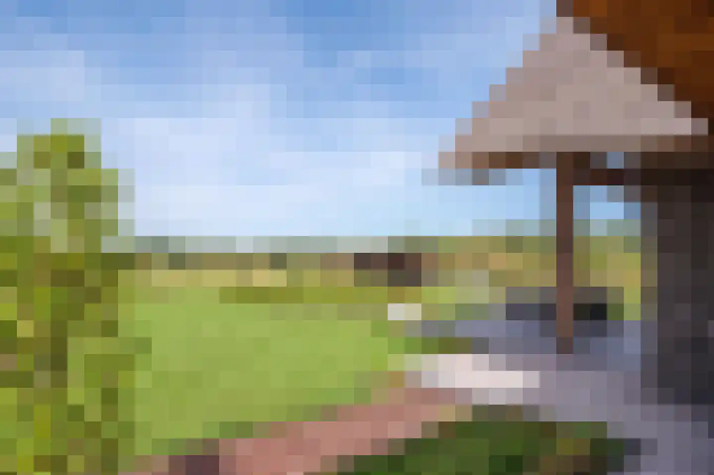 Zandstraat 15 Moergestel thumbnail 30