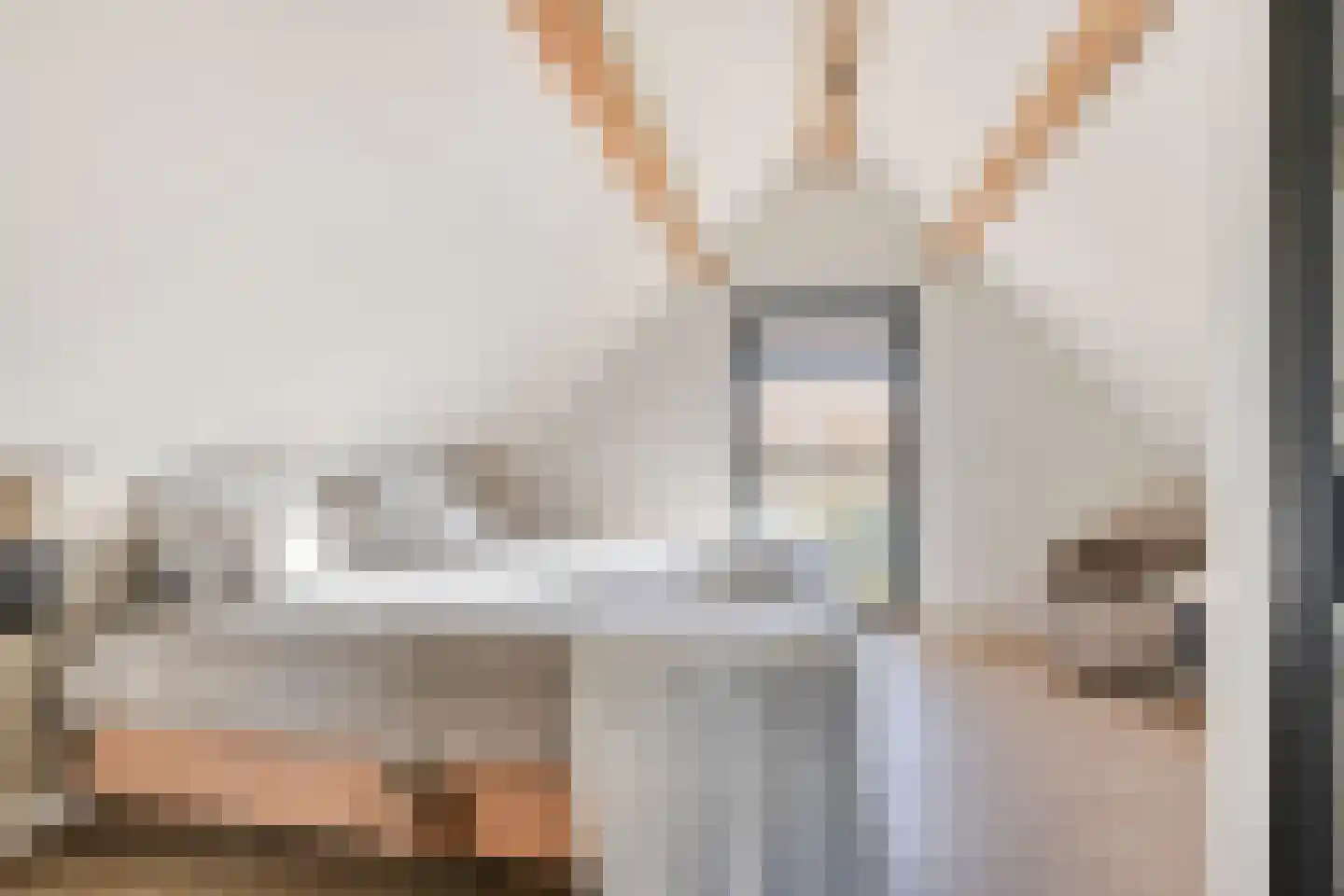 Zandstraat 15 Moergestel thumbnail 33