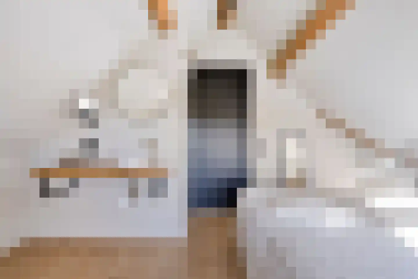 Zandstraat 15 Moergestel thumbnail 34