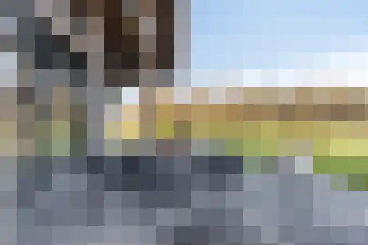 Zandstraat 15 Moergestel thumbnail 36
