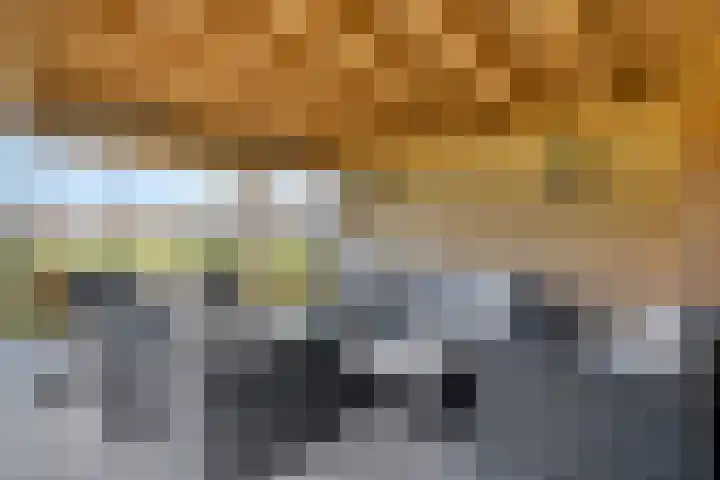 Zandstraat 15 Moergestel thumbnail 39