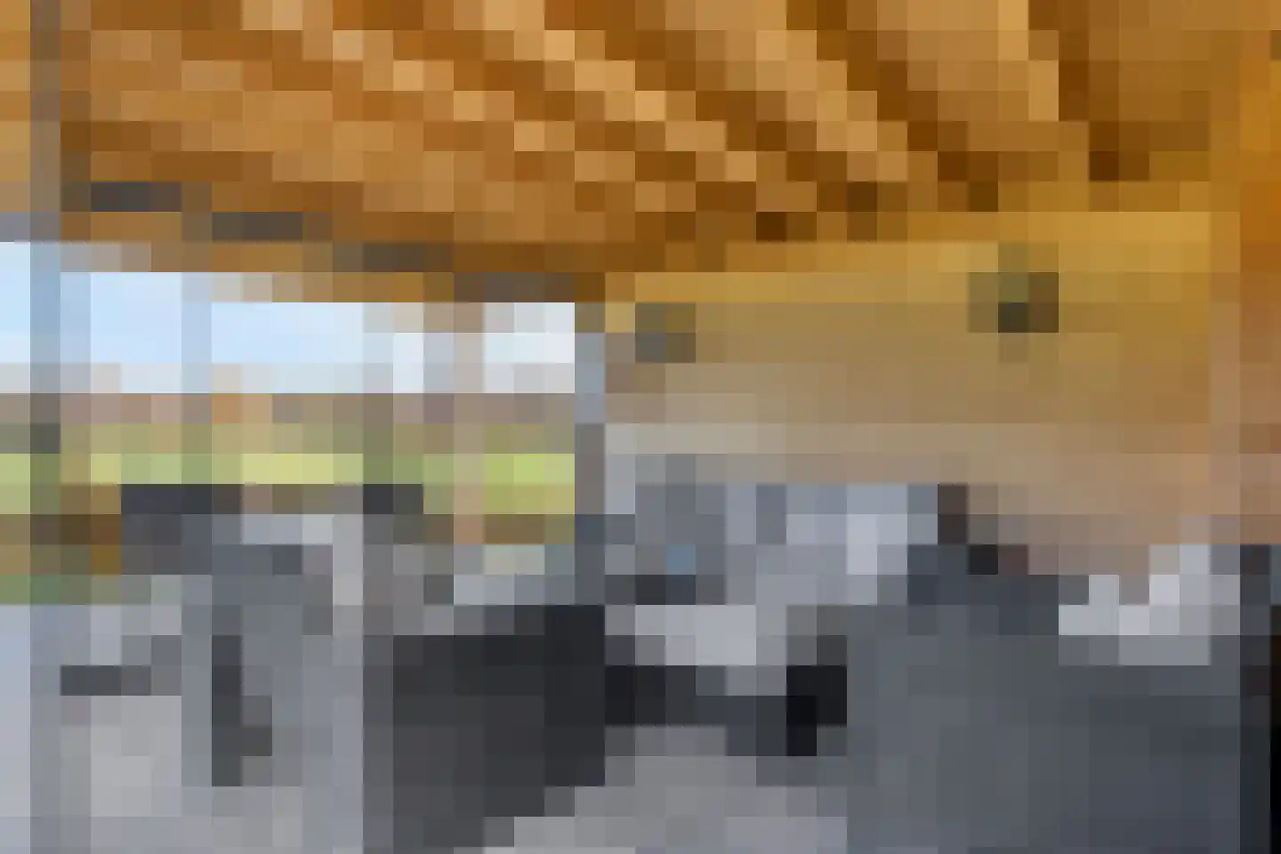 Zandstraat 15 Moergestel thumbnail 39