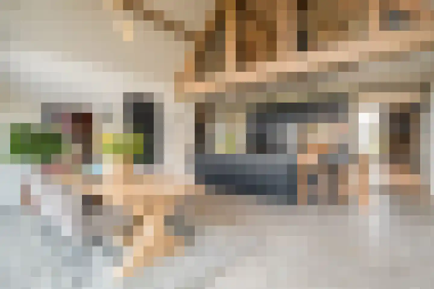 Zandstraat 15 Moergestel thumbnail 4