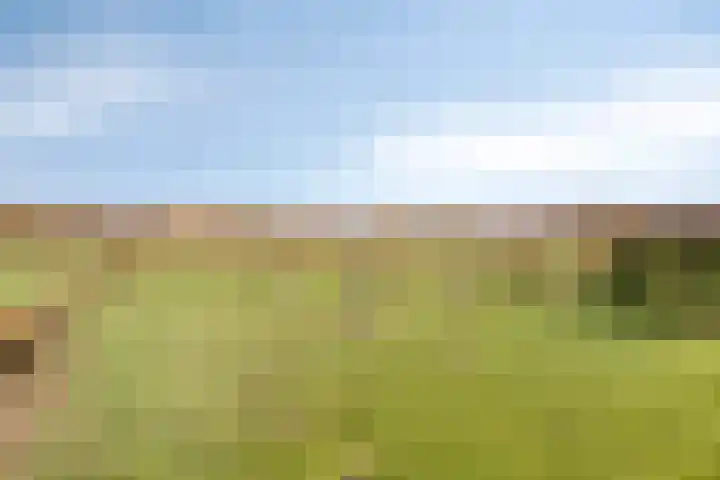 Zandstraat 15 Moergestel thumbnail 43