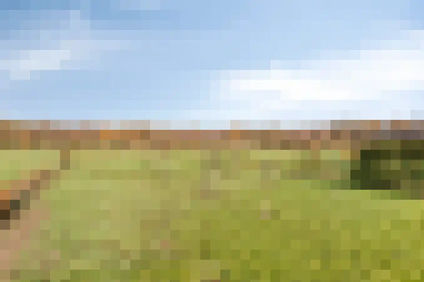 Zandstraat 15 Moergestel thumbnail 43