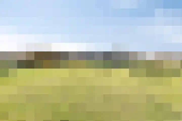 Zandstraat 15 Moergestel thumbnail 5
