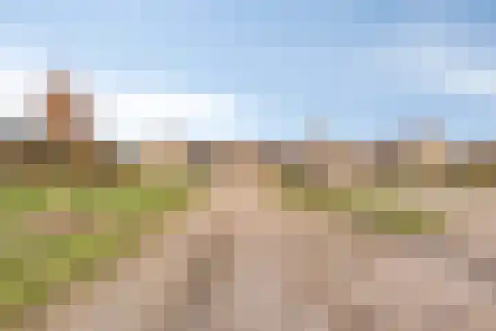 Zandstraat 15 Moergestel thumbnail 50