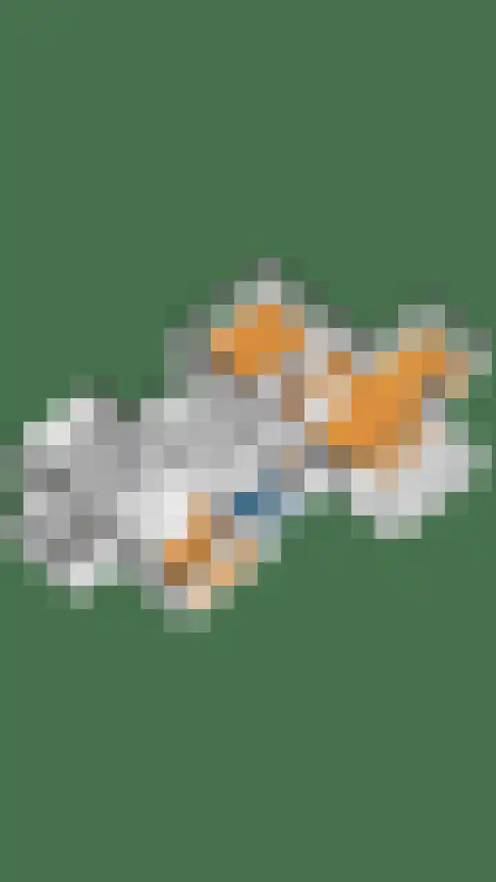 Zandstraat 15 Moergestel thumbnail 57