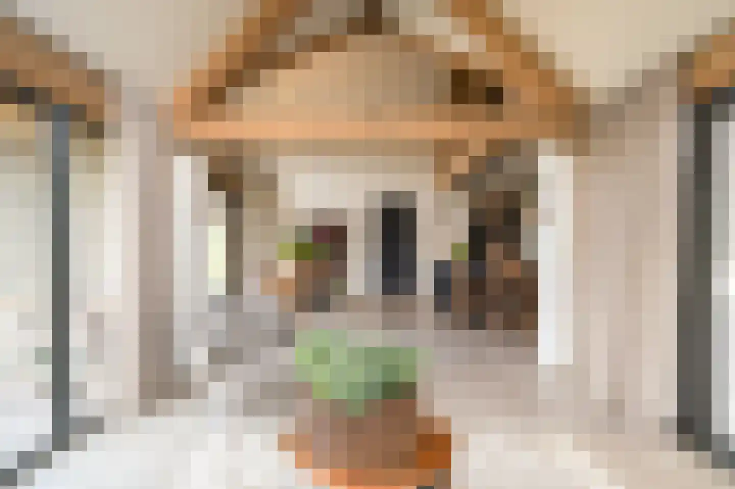Zandstraat 15 Moergestel thumbnail 7