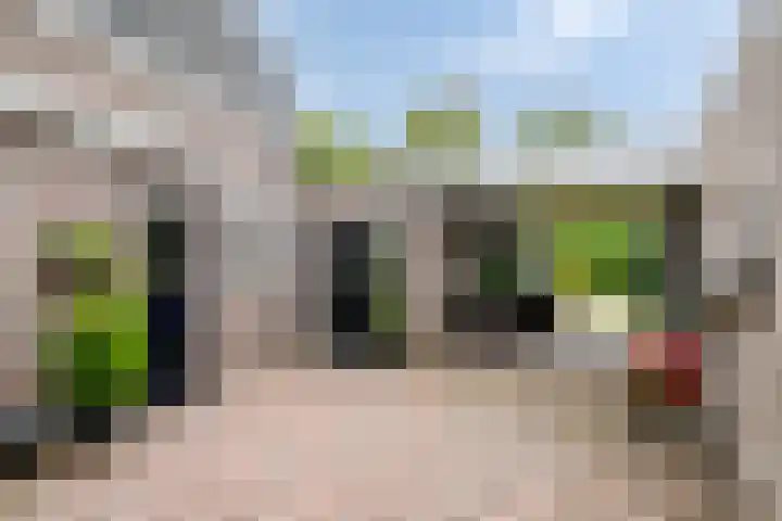 Zandstraat 15 Valkenswaard thumbnail 23