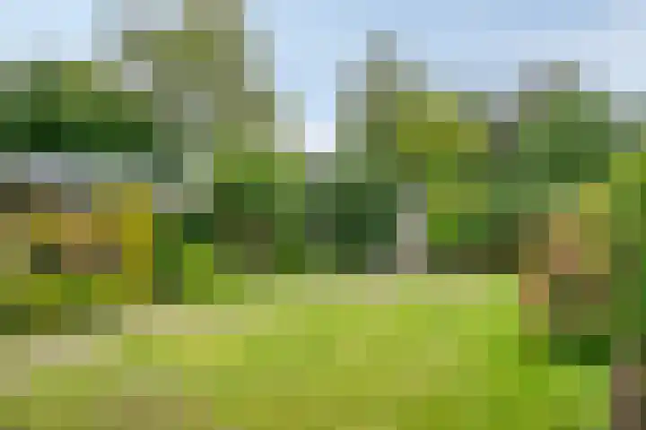 Zandstraat 15 Valkenswaard thumbnail 25