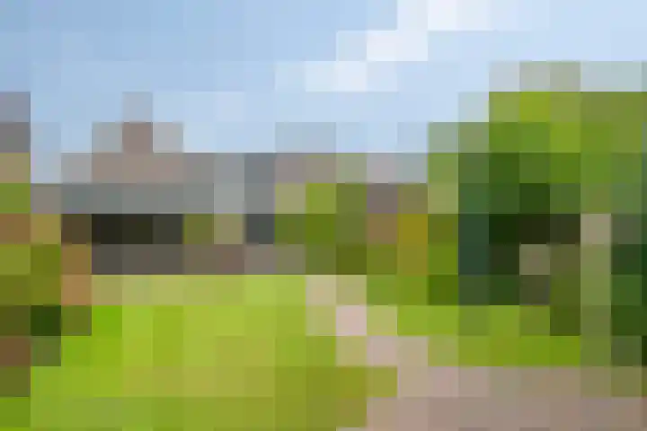 Zandstraat 15 Valkenswaard thumbnail 26