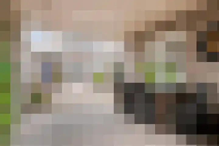 Zandstraat 15 Valkenswaard thumbnail 29