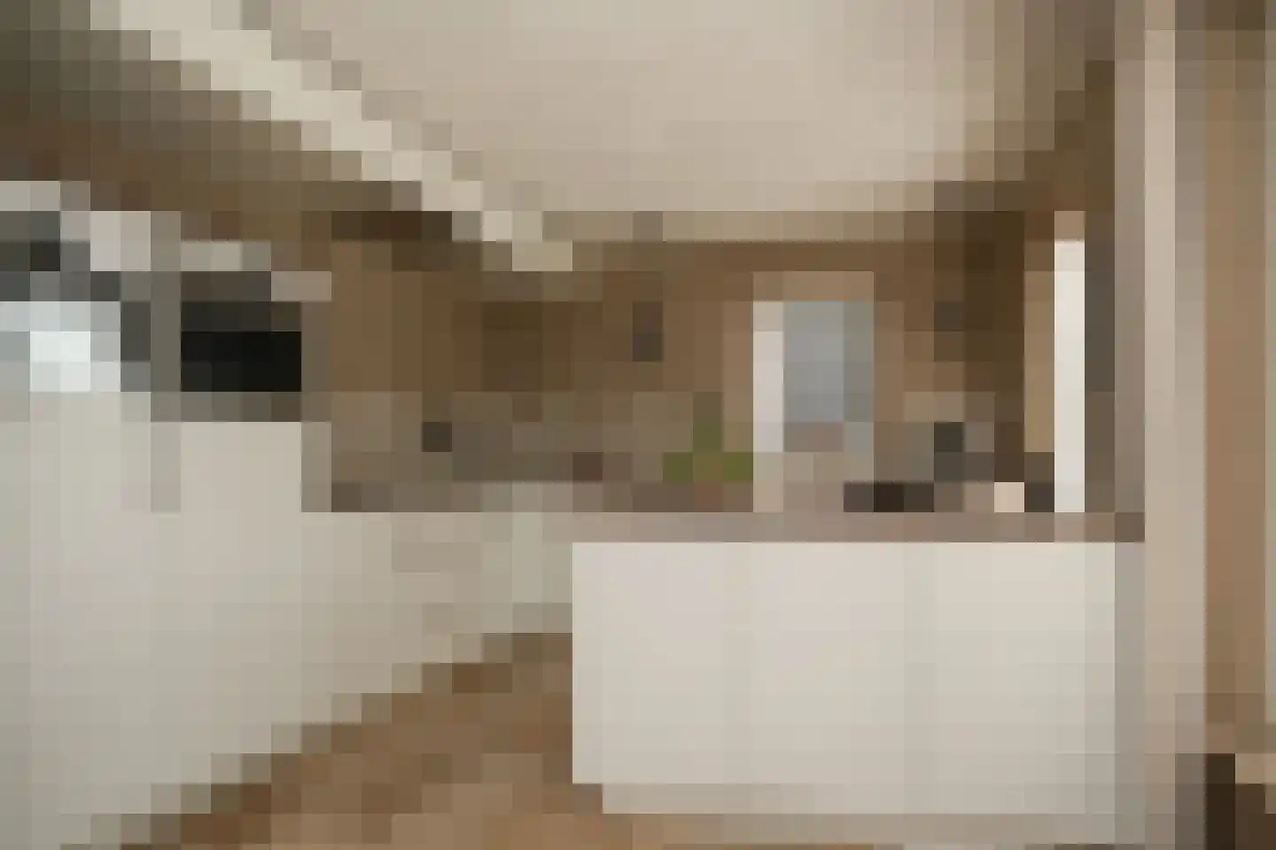 Zandstraat 150 Beneden-Leeuwen thumbnail 16