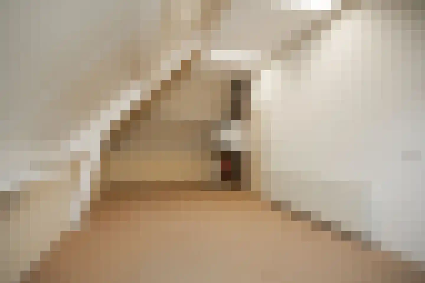 Zandstraat 150 Beneden-Leeuwen thumbnail 36
