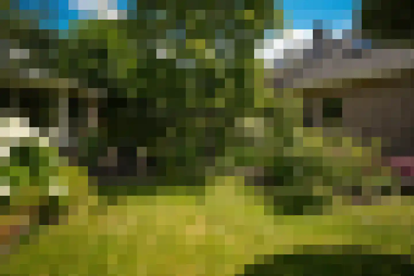 Zandstraat 150 Beneden-Leeuwen thumbnail 56
