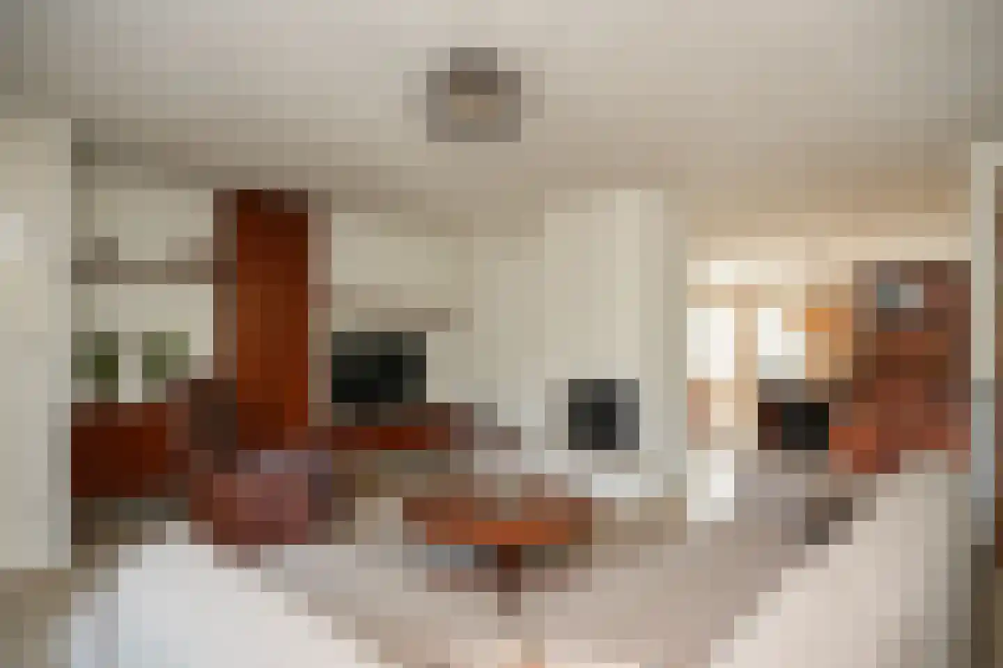 Zandstraat 150 Beneden-Leeuwen thumbnail 6