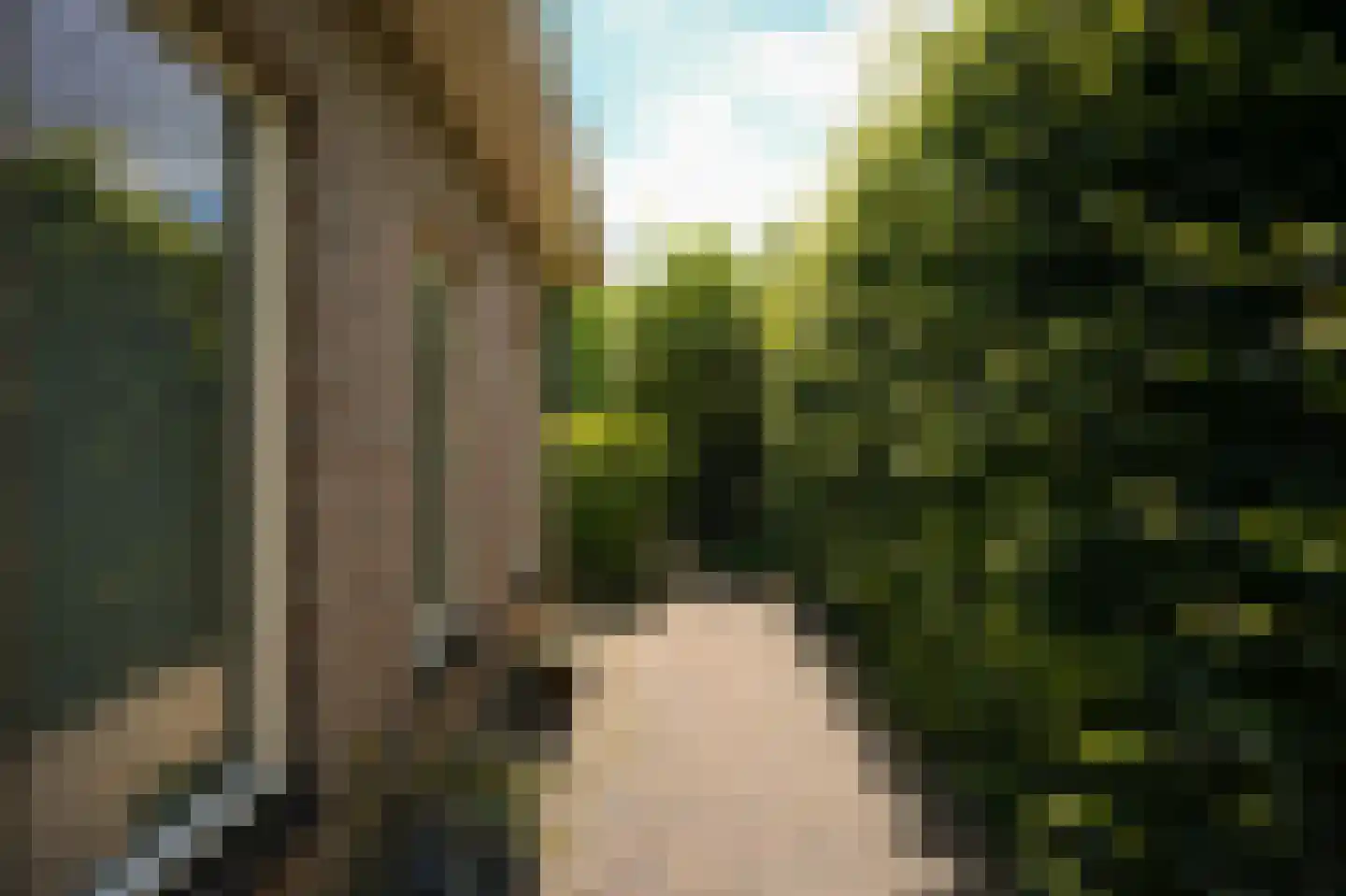 Zandstraat 150 Beneden-Leeuwen thumbnail 60
