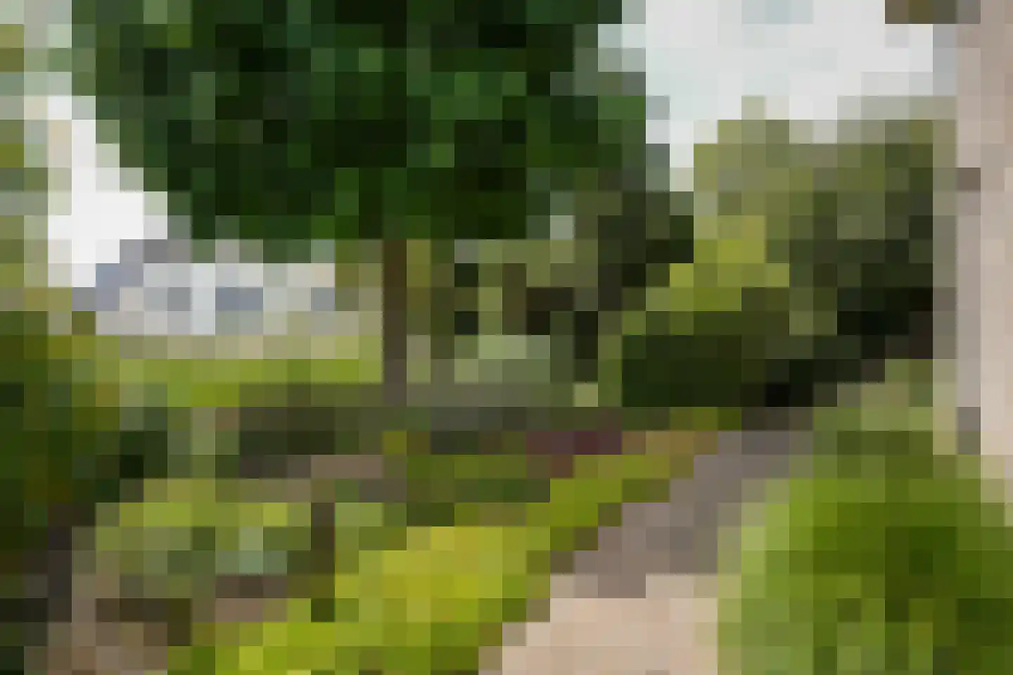 Zandstraat 150 Beneden-Leeuwen thumbnail 63