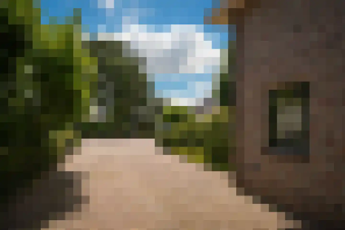 Zandstraat 150 Beneden-Leeuwen thumbnail 64