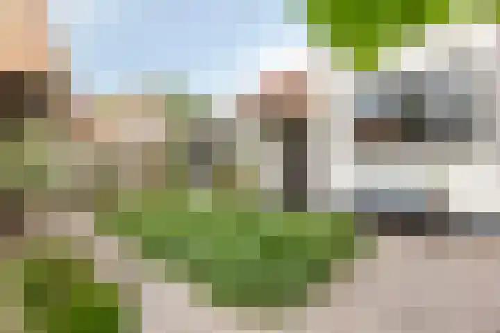 Zandstraat 159 Sas van Gent thumbnail 37