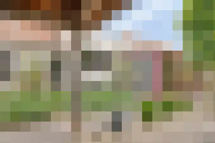 Zandstraat 159 Sas van Gent thumbnail 39