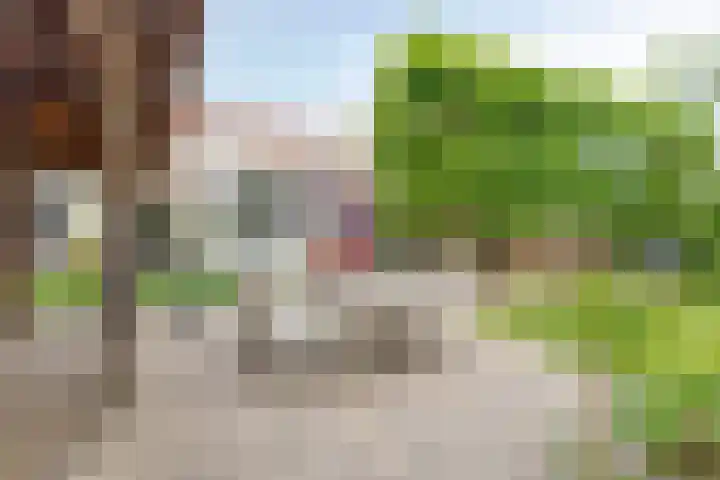 Zandstraat 159 Sas van Gent thumbnail 4