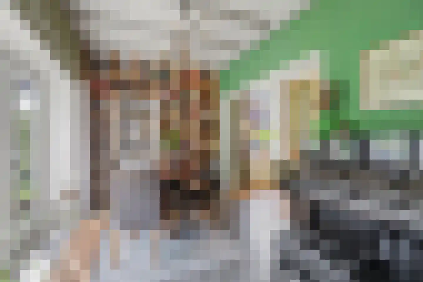 Zandstraat 16 Opijnen thumbnail 8
