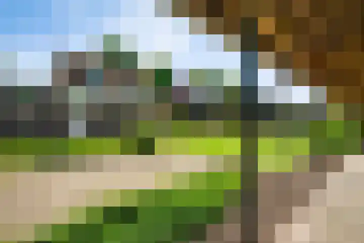 Zandstraat 17 Ospel thumbnail 30
