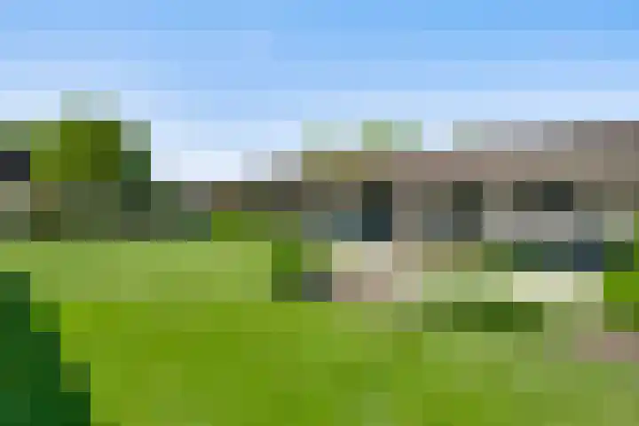 Zandstraat 17 Ospel thumbnail 32