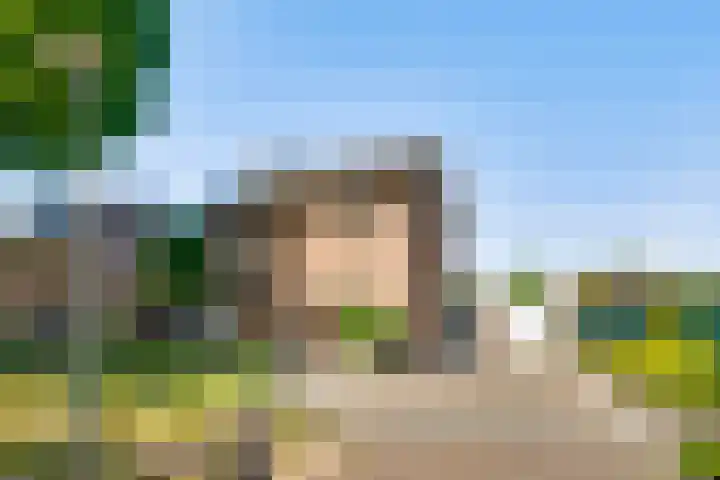 Zandstraat 17 Ospel thumbnail 5