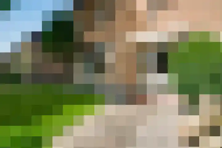 Zandstraat 17 Ospel thumbnail 6