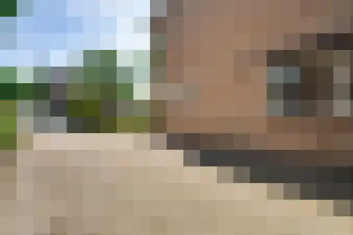 Zandstraat 17 Ospel thumbnail 7