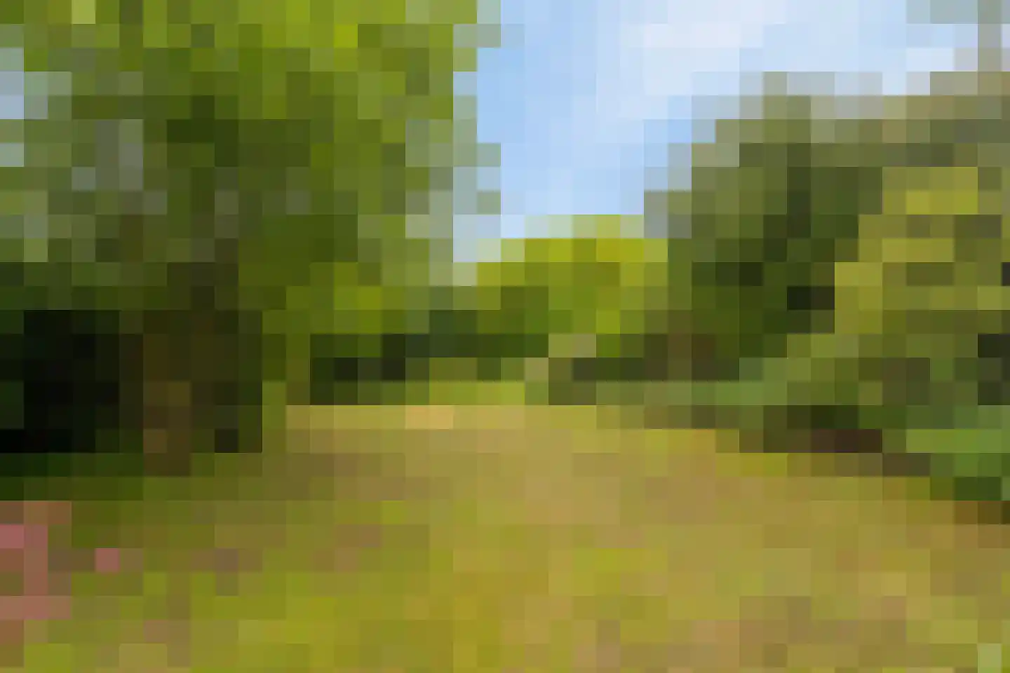 Zandstraat 17 Spaubeek thumbnail 5