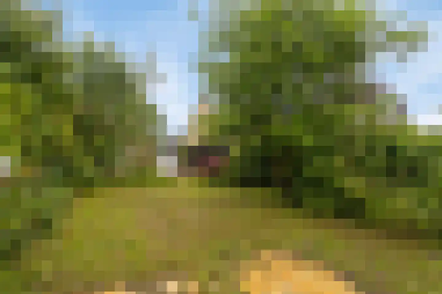 Zandstraat 17 Spaubeek thumbnail 6