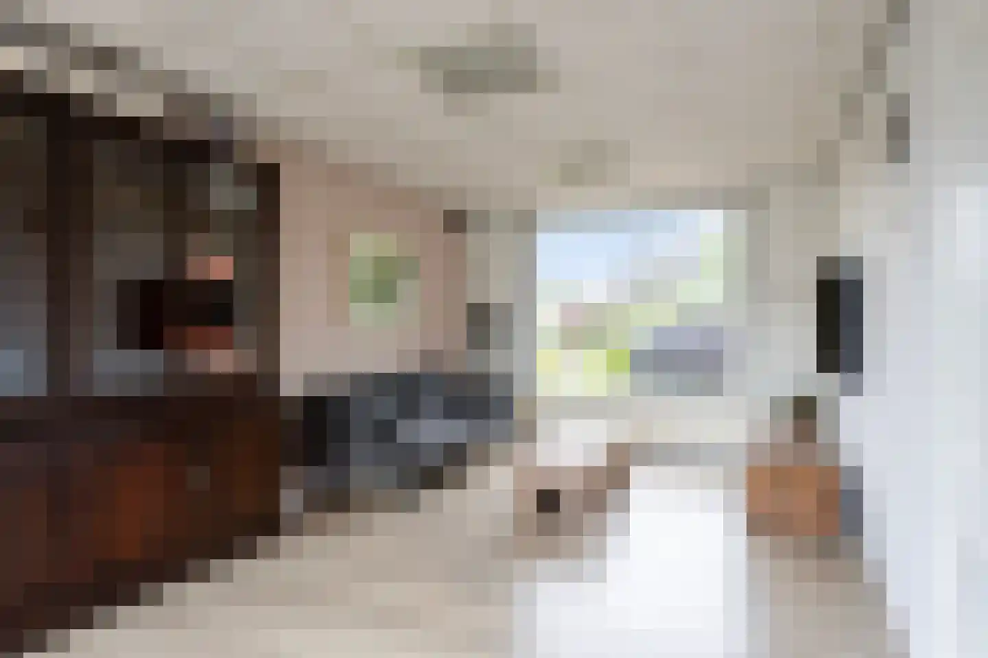 Zandstraat 17 Spaubeek thumbnail 8