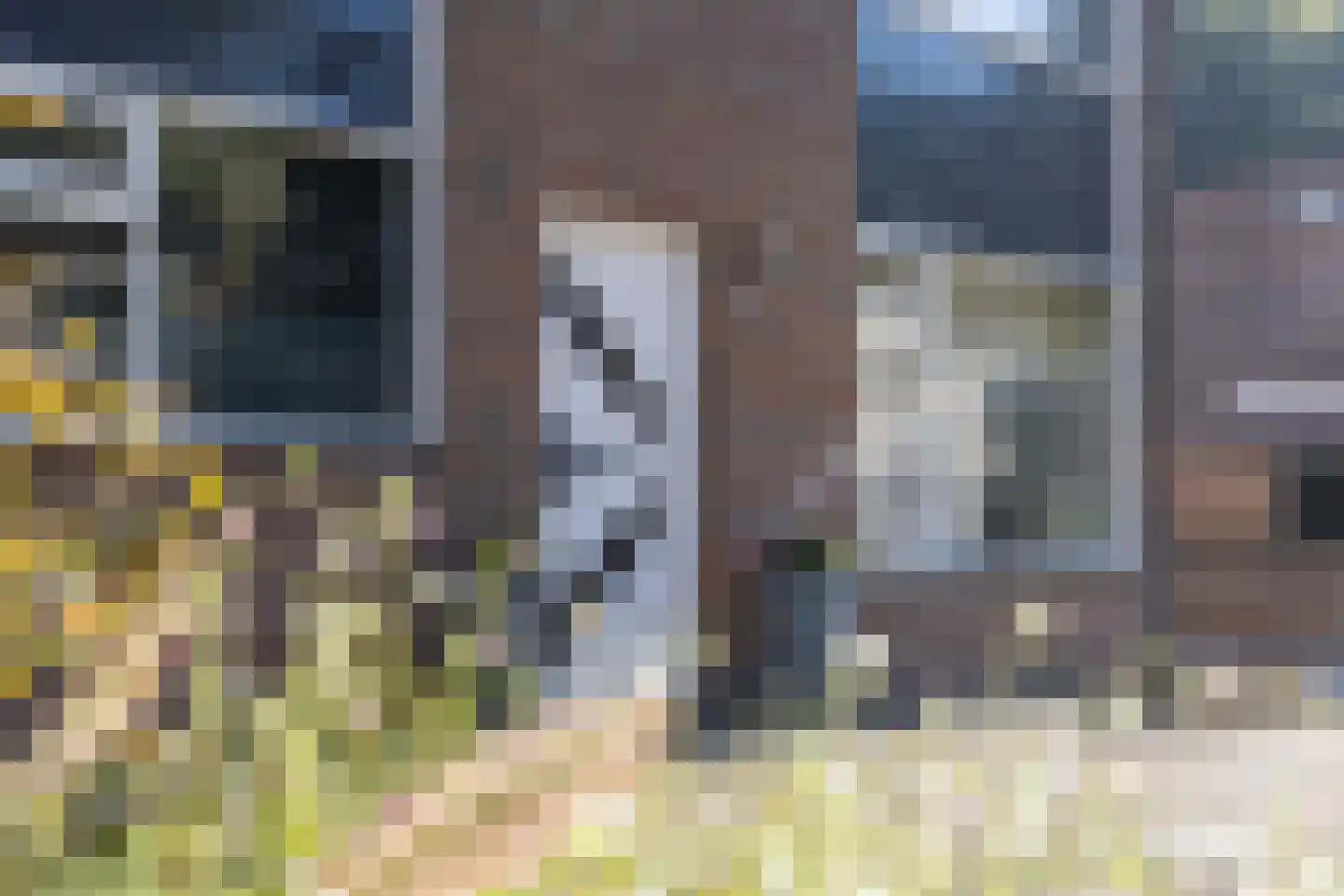 Zandstraat 18 Doetinchem thumbnail 20