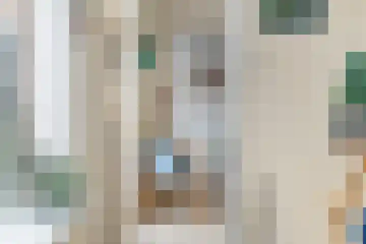 Zandstraat 18 Spijk thumbnail 14