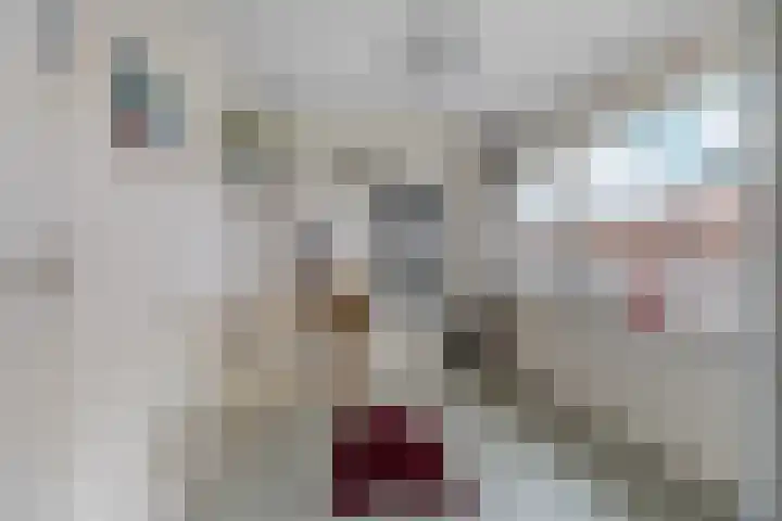 Zandstraat 18 Spijk thumbnail 21