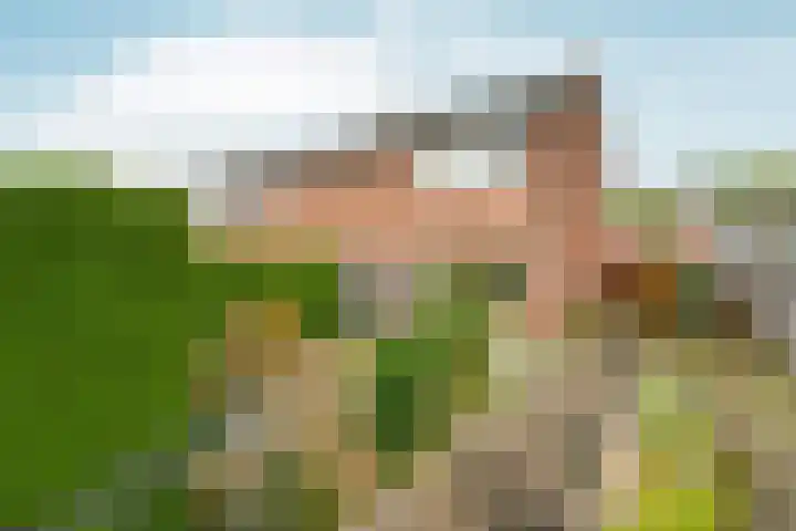 Zandstraat 18 Spijk thumbnail 28
