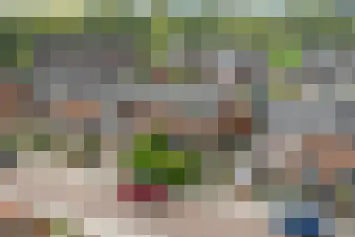 Zandstraat 18 Spijk thumbnail 43